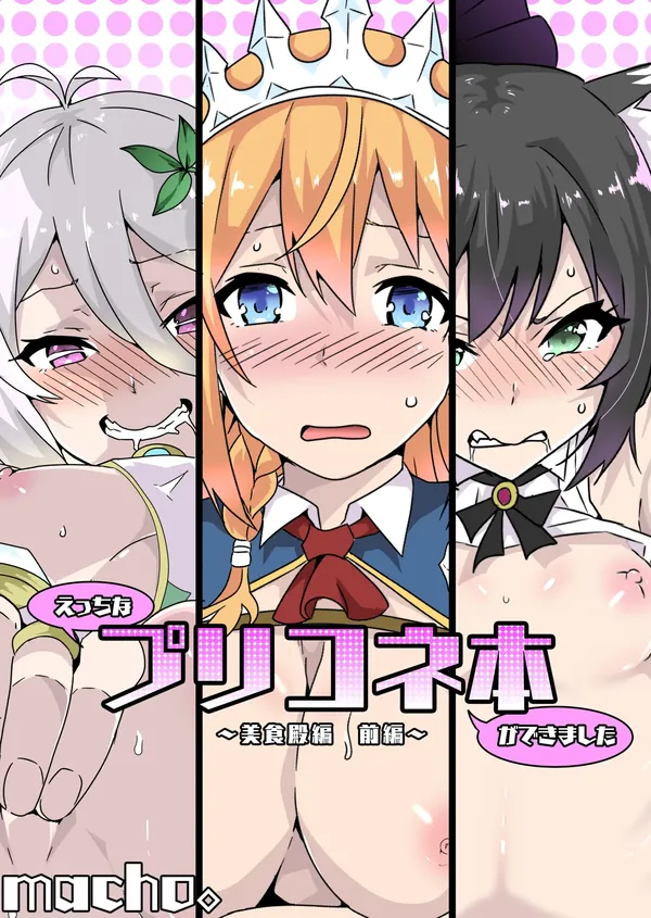 えっちなプリコネ本ができました～美食殿編 前編～ 表紙