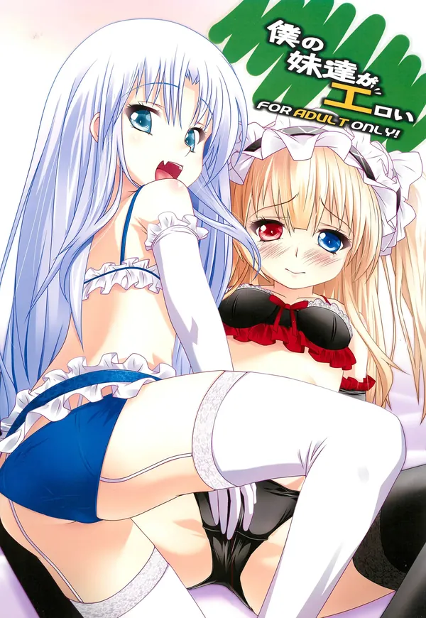 僕の妹達がエロい 表紙