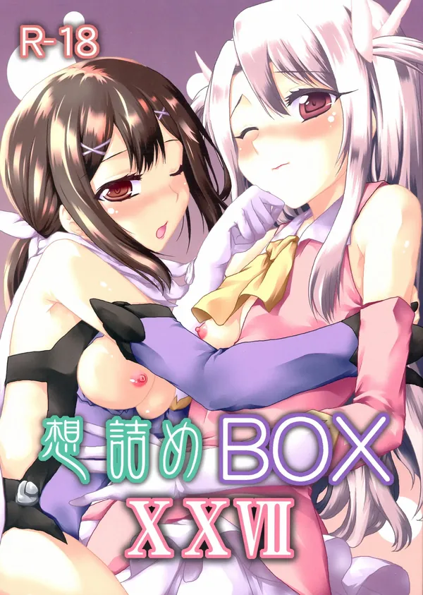 想詰めBOX XXVII 表紙