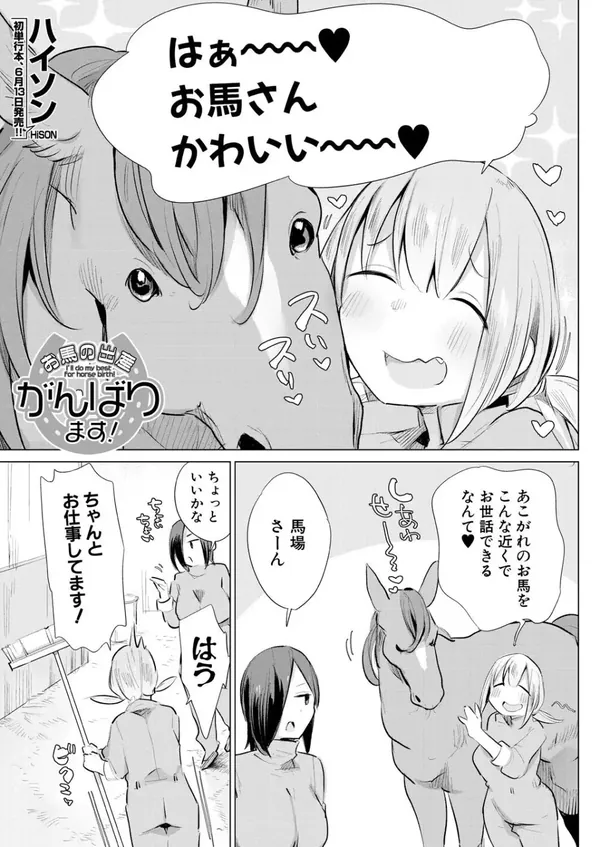 お馬の出産がんばります! 表紙