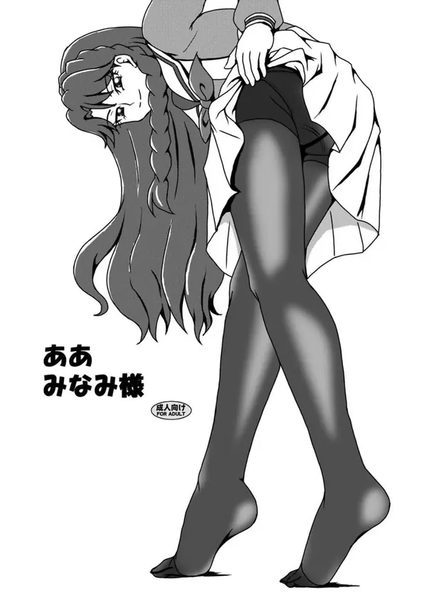 ああ みなみ様 表紙