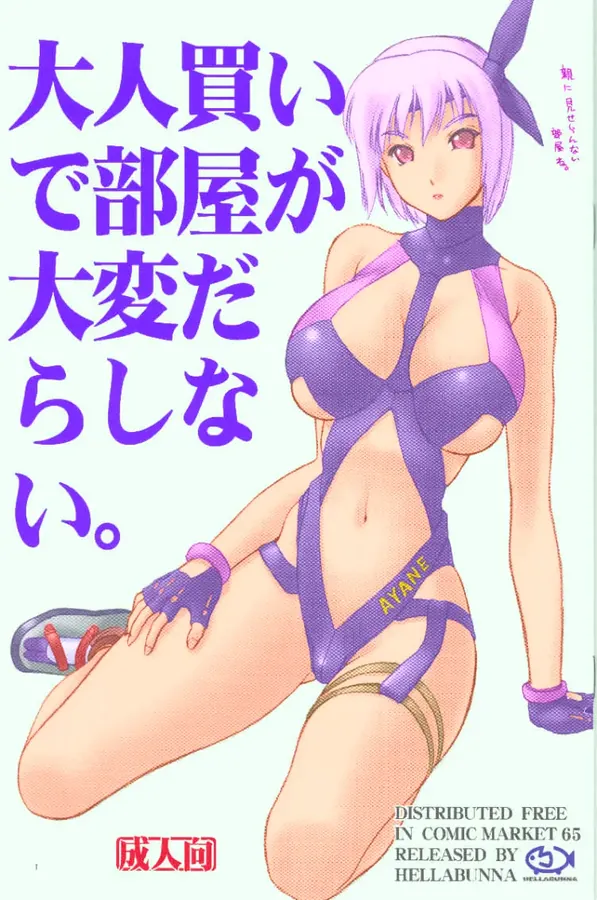 大人買いで部屋が大変だらしない。 表紙