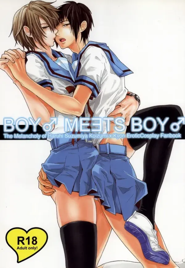 BOY♂ MEETS BOY♂ 表紙