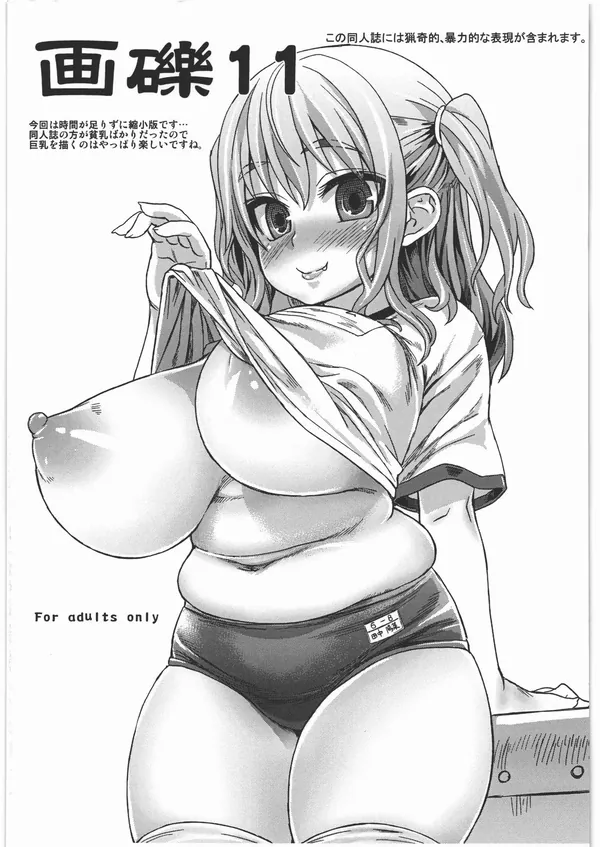 画礫11 表紙
