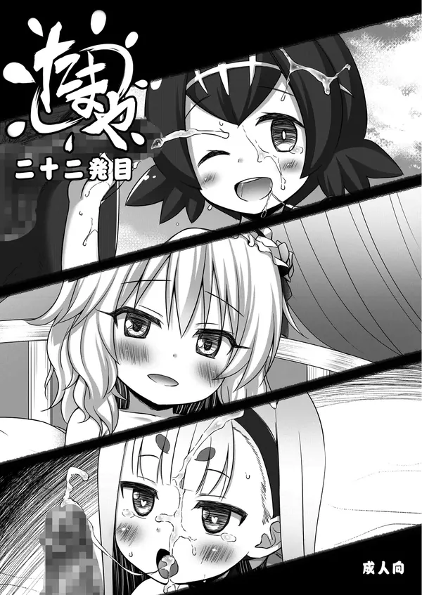 たまや 二十二発目 表紙