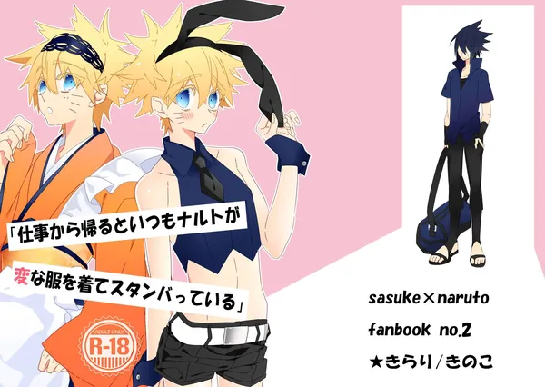 「仕事から帰るといつもナルトが変な服を着てスタンバっている」 表紙