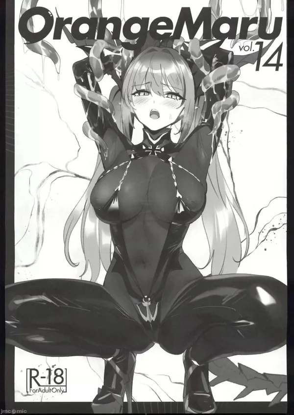 OrangeMaru vol.14 表紙