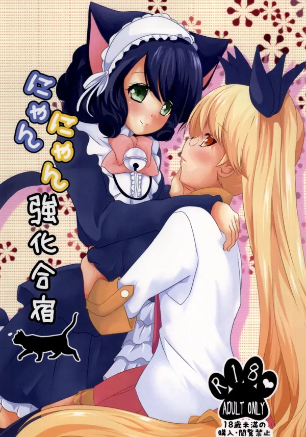 にゃんにゃん強化合宿 表紙