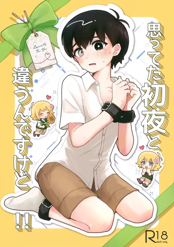思ってた初夜と違うんですけど！！ 表紙