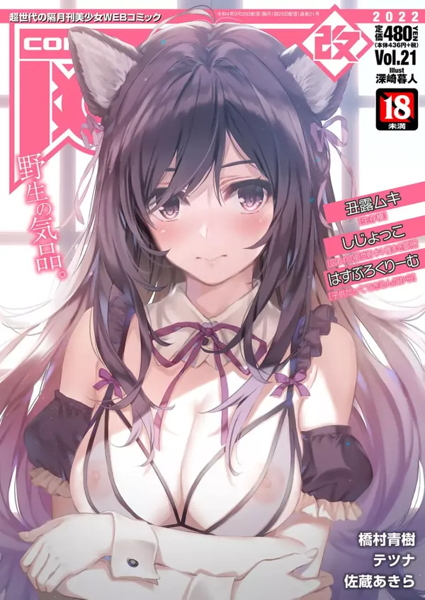 COMIC 阿吽 改 Vol.21 表紙