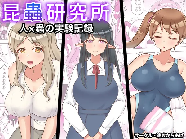 昆蟲研究所 表紙