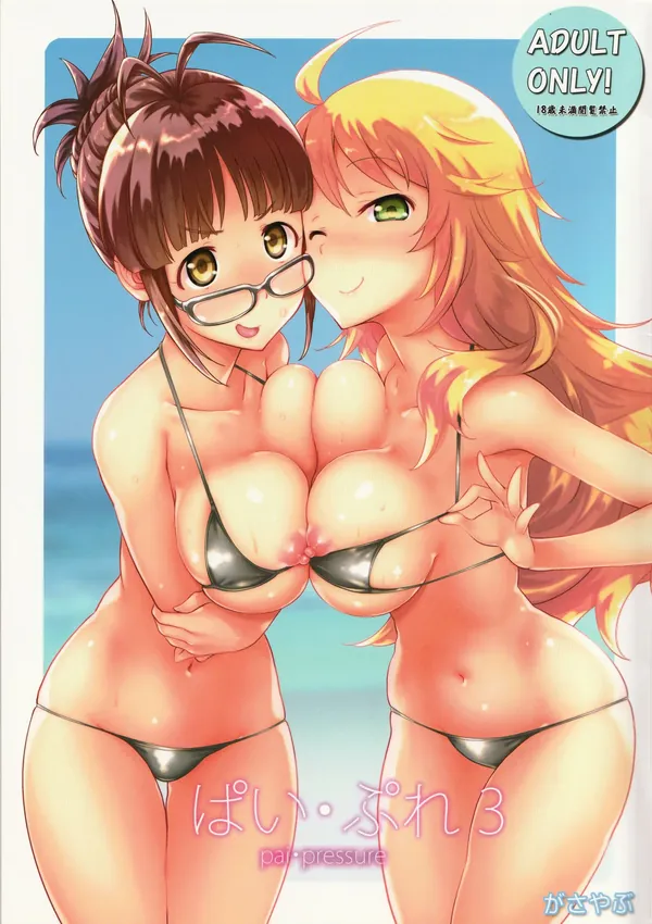 ぱい・ぷれ3 表紙