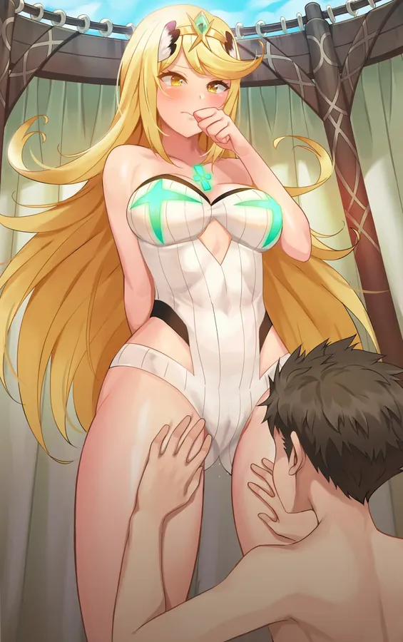 Mythra x Rex 表紙