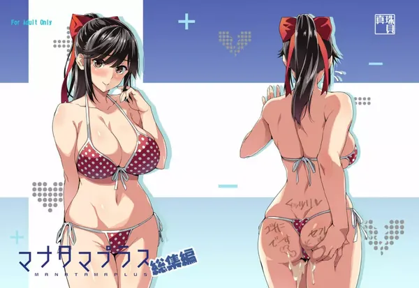 マナタマプラス総集編 表紙