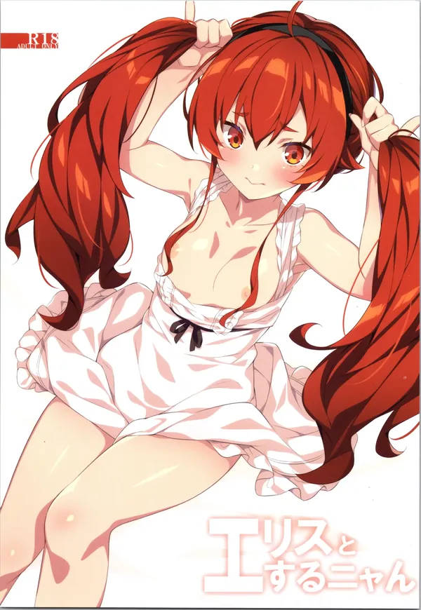 エリスとするニャん 表紙