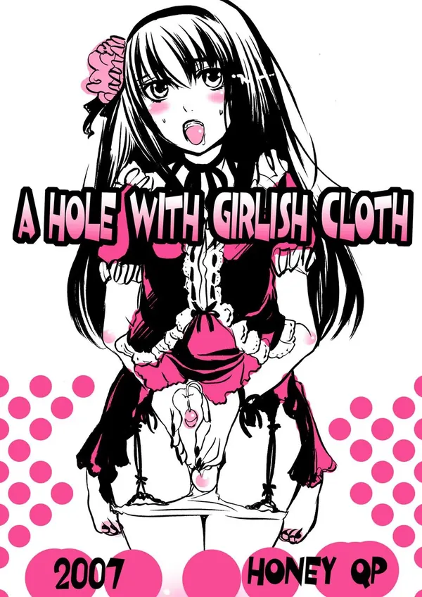 A Hole With Girlish Cloth 表紙