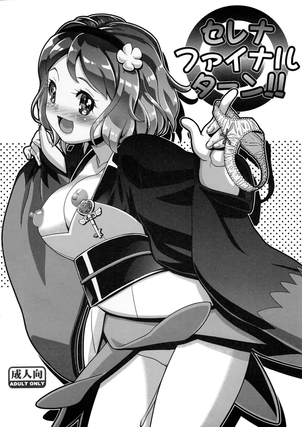セレナファイナルターン!! 表紙