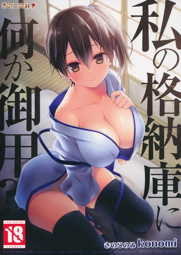 私の格納庫に何か御用？ 表紙