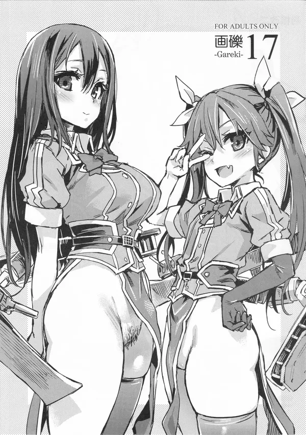 画礫17 表紙
