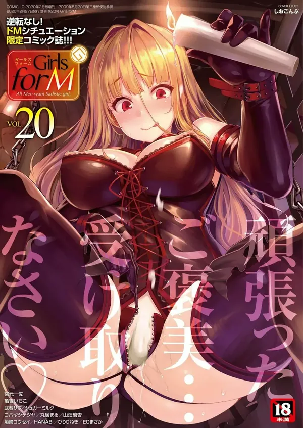ガールズフォーム Vol.20 表紙