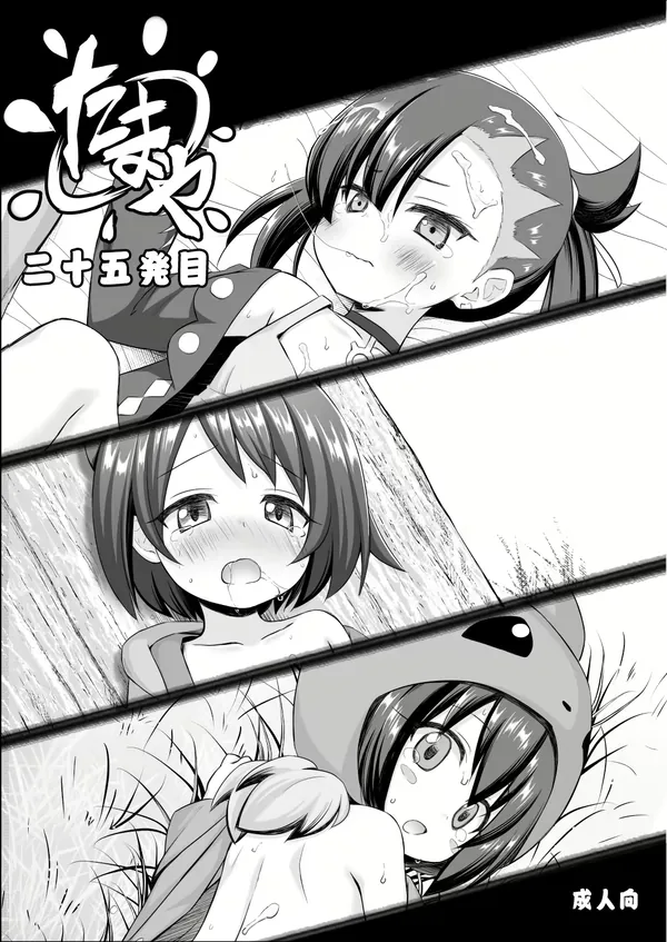 たまや 二十五発目 表紙