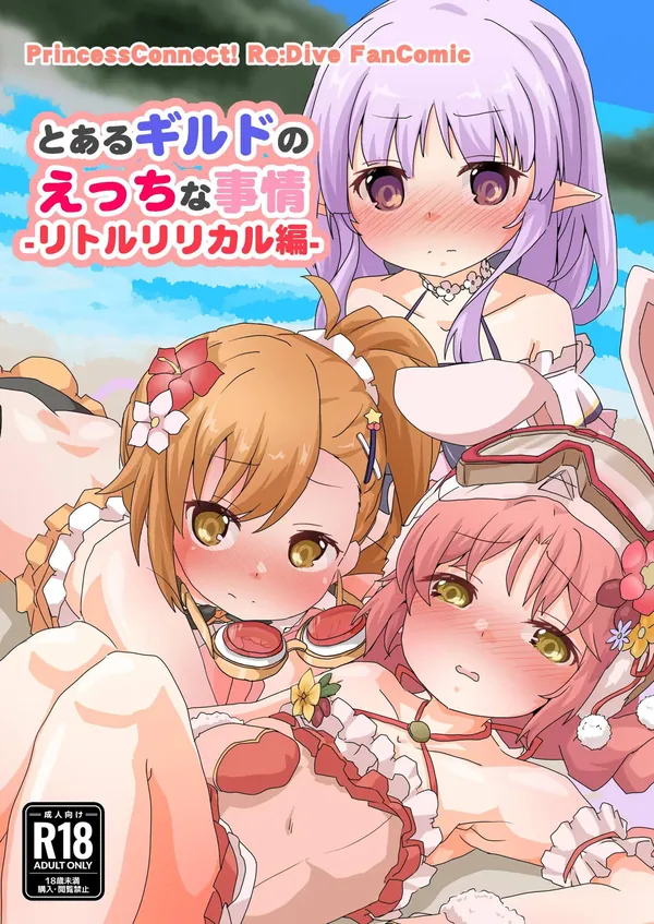 とあるギルドのえっちな事情-リトルリリカル編- 表紙