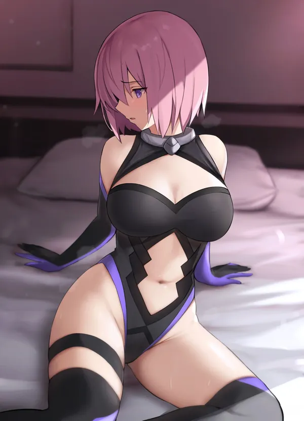 shielderの代表作品