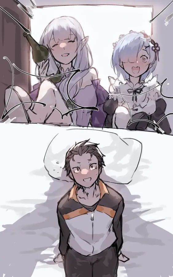 リクェストエミレムスバ 表紙