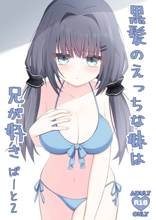黒髪のえっちな妹は兄が好き ぱーと2 表紙