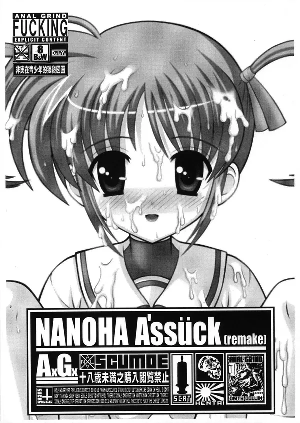 NANOHA A'ssück(remake) 表紙
