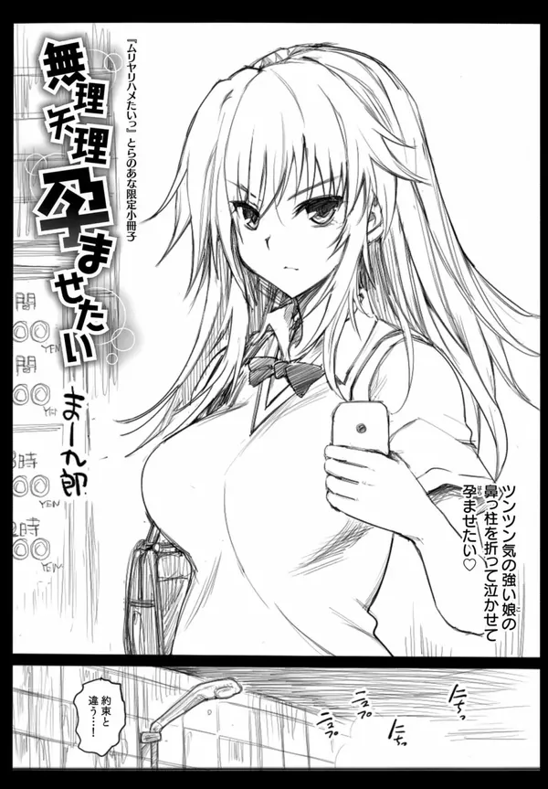 ムリヤリハメたいっ とらのあな限定小冊子 無理矢理孕ませたい 表紙