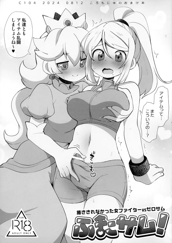 ふたサム! 描ききれなかった女ファイターVSゼロサム 表紙