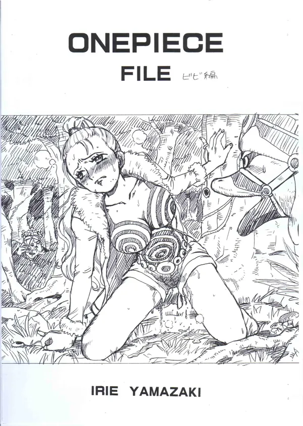 ONEPIECE FILE ビビ編 表紙