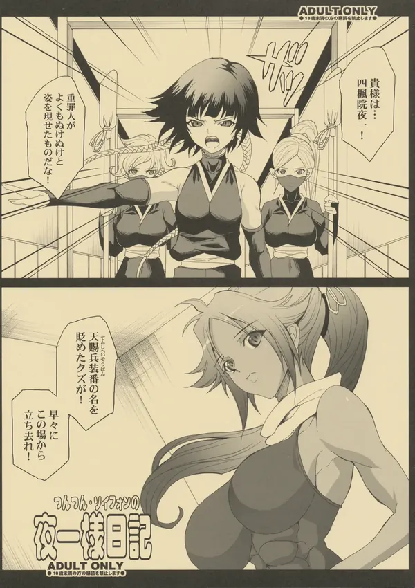 つんつん・ソイフォンの夜一様日記 表紙