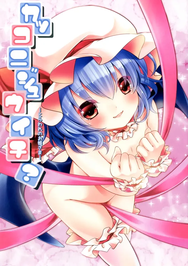 カッコニジュウイチ? ‐とらわれのお姫さま‐ 表紙