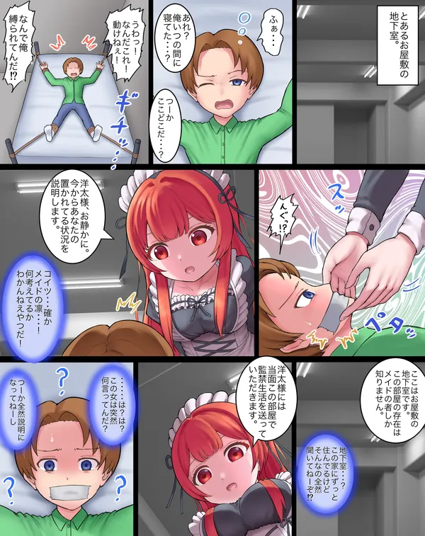 メイドの復讐 表紙