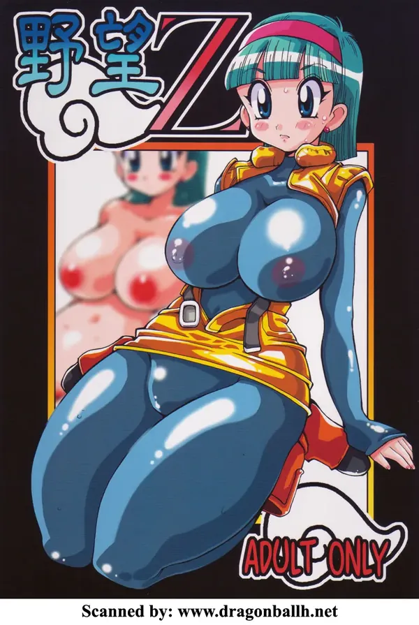 野望Z 表紙