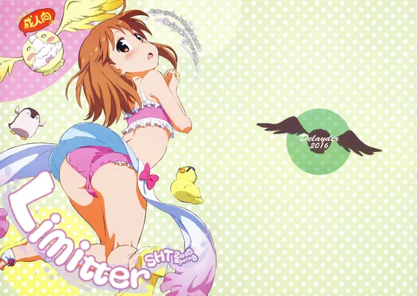 Limitter 2016 SHT spring 表紙