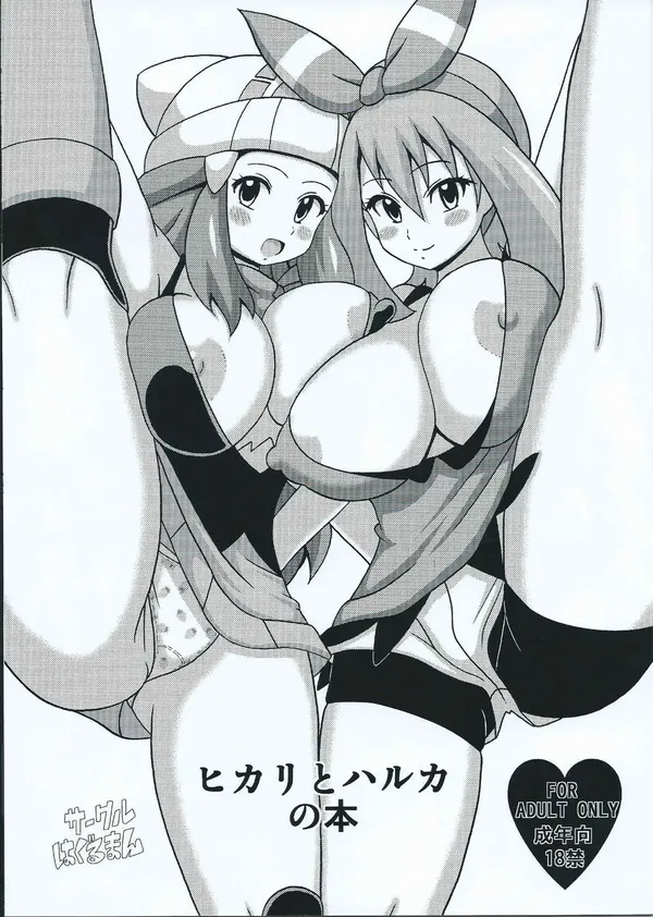 ヒカリとハルカの本 表紙
