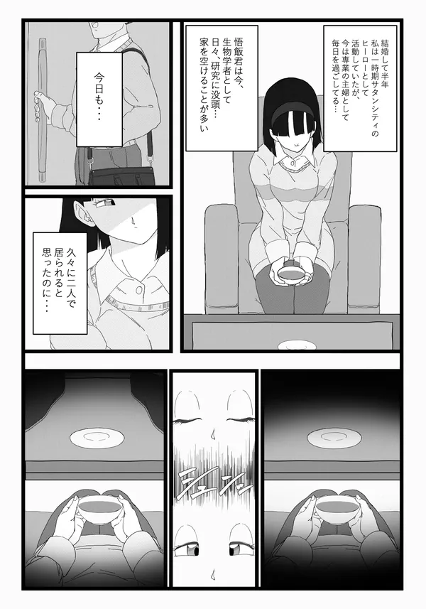 ビーデル×悟空 表紙